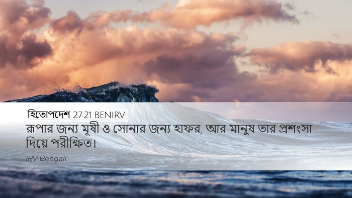 হিতোপদেশ 27:21 BENIRV Bible Verse Image