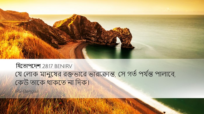 হিতোপদেশ 28:17 BENIRV Bible Verse Image