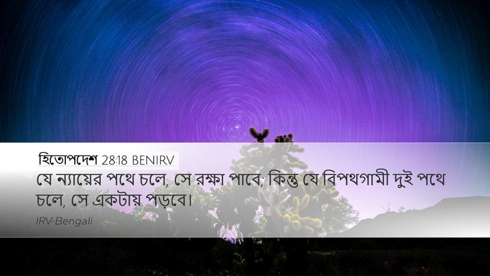 হিতোপদেশ 28:18 BENIRV Bible Verse Image