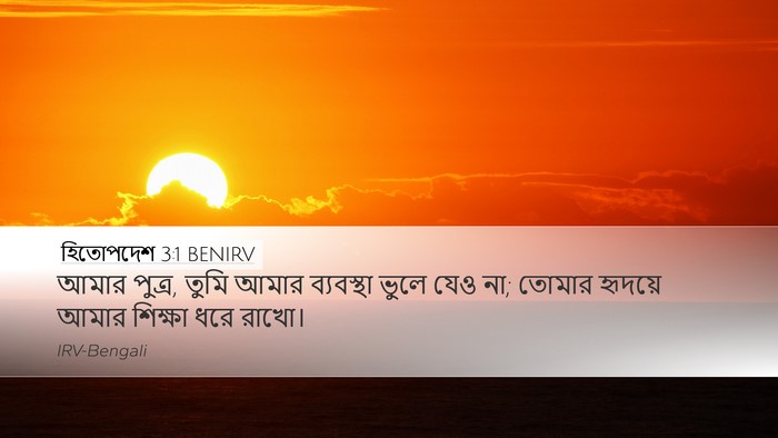 হিতোপদেশ 3:1 BENIRV Bible Verse Image