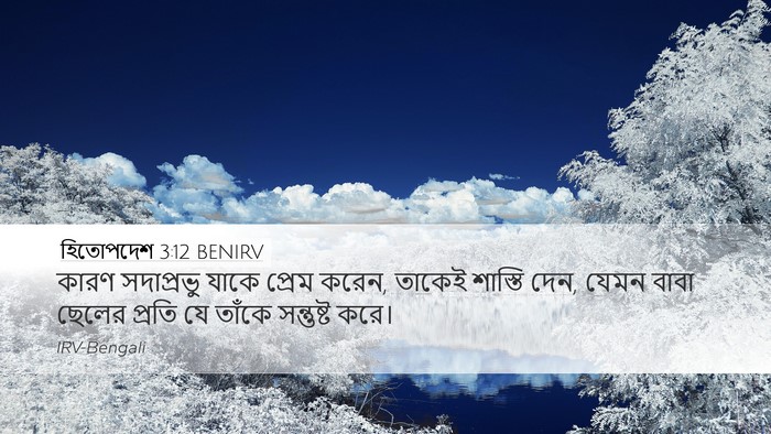 হিতোপদেশ 3:12 BENIRV Bible Verse Image