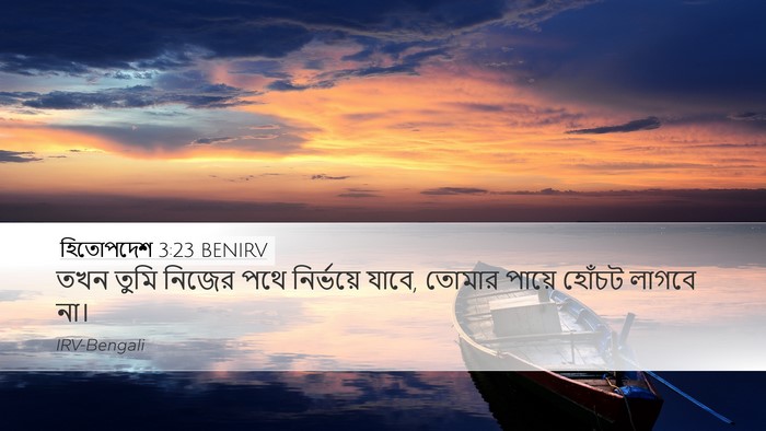 হিতোপদেশ 3:23 BENIRV Bible Verse Image