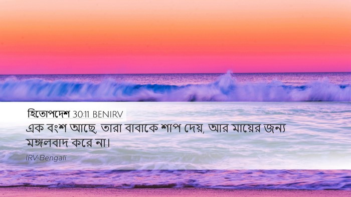 হিতোপদেশ 30:11 BENIRV Bible Verse Image