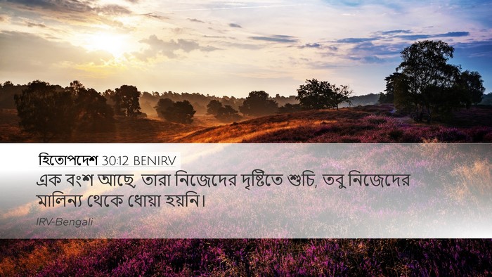 হিতোপদেশ 30:12 BENIRV Bible Verse Image