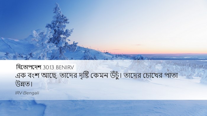 হিতোপদেশ 30:13 BENIRV Bible Verse Image