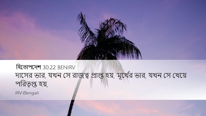 হিতোপদেশ 30:22 BENIRV Bible Verse Image