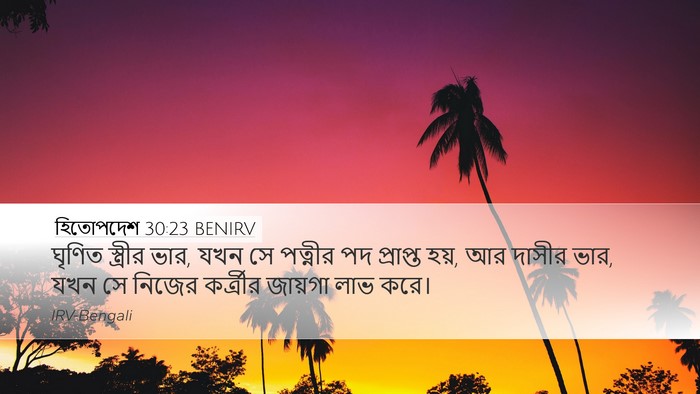 হিতোপদেশ 30:23 BENIRV Desktop Wallpaper - ঘৃণিত স্ত্রীর ভার, - Desktop Bible Verse Wallpaper