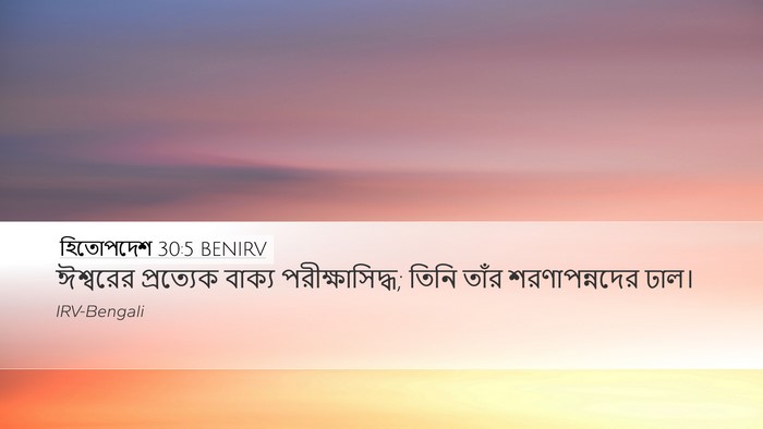 হিতোপদেশ 30:5 BENIRV Bible Verse Image
