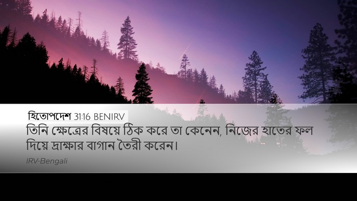 হিতোপদেশ 31:16 BENIRV Desktop Wallpaper - তিনি ক্ষেত্রের - Desktop Bible Verse Wallpaper