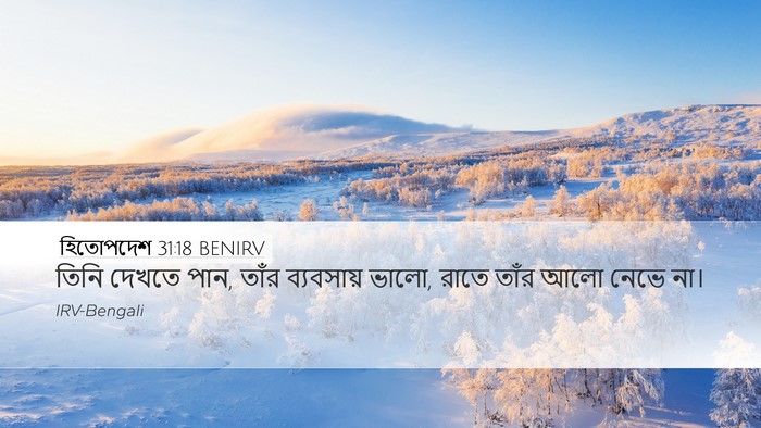 হিতোপদেশ 31:18 BENIRV Desktop Wallpaper - তিনি দেখতে পান, - Desktop Bible Verse Wallpaper