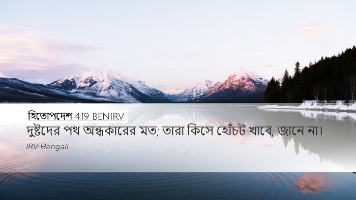 হিতোপদেশ 4:19 BENIRV Bible Verse Image