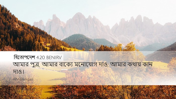হিতোপদেশ 4:20 BENIRV Bible Verse Image