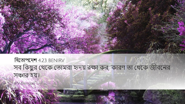 হিতোপদেশ 4:23 BENIRV Bible Verse Image