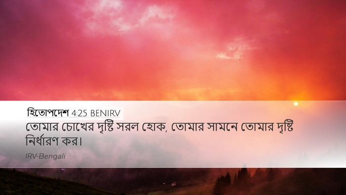 হিতোপদেশ 4:25 BENIRV Bible Verse Image