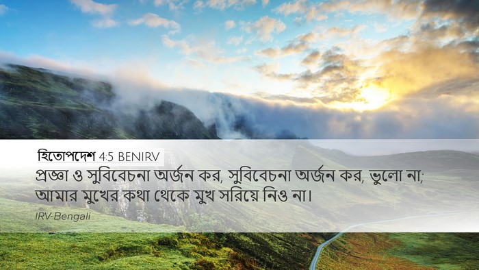 হিতোপদেশ 4:5 BENIRV Bible Verse Image