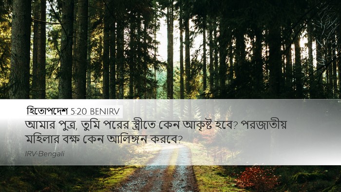 হিতোপদেশ 5:20 BENIRV Bible Verse Image