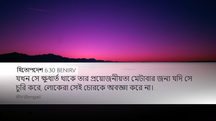 হিতোপদেশ 6:30 BENIRV Bible Verse Image