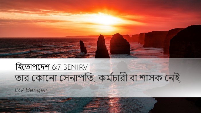 হিতোপদেশ 6:7 BENIRV Desktop Wallpaper - তার কোনো সেনাপতি, - Desktop Bible Verse Wallpaper