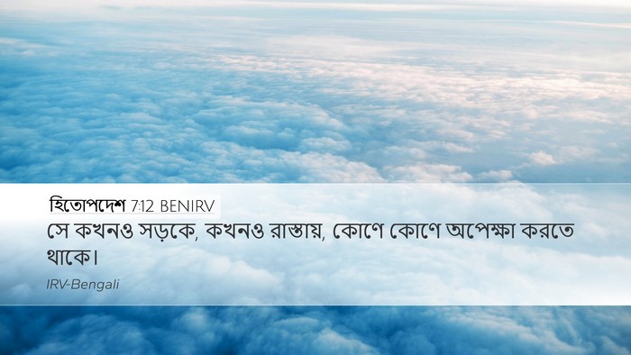 হিতোপদেশ 7:12 BENIRV Desktop Wallpaper - সে কখনও সড়কে, কখনও - Desktop Bible Verse Wallpaper