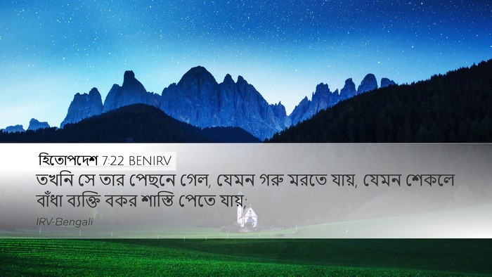 হিতোপদেশ 7:22 BENIRV Bible Verse Image