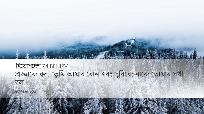হিতোপদেশ 7:4 BENIRV Desktop Wallpaper - প্রজ্ঞাকে বল, - Desktop Bible Verse Wallpaper