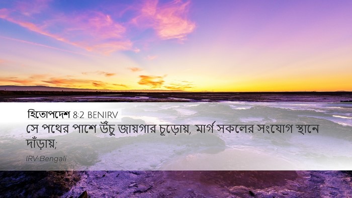 হিতোপদেশ 8:2 BENIRV Desktop Wallpaper - সে পথের পাশে উঁচু - Desktop Bible Verse Wallpaper