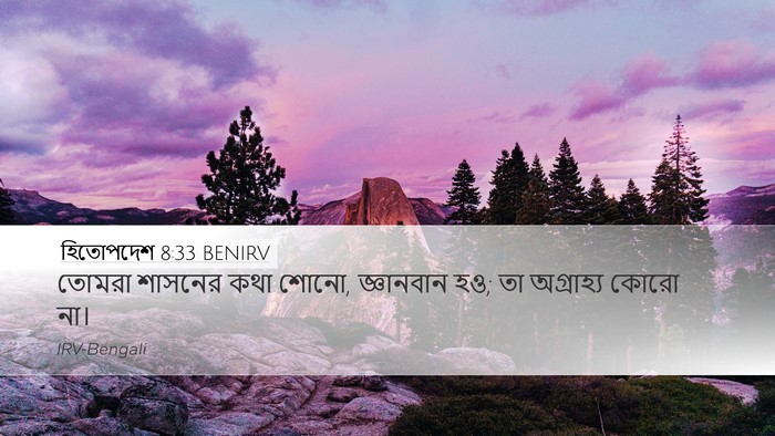 হিতোপদেশ 8:33 BENIRV Bible Verse Image