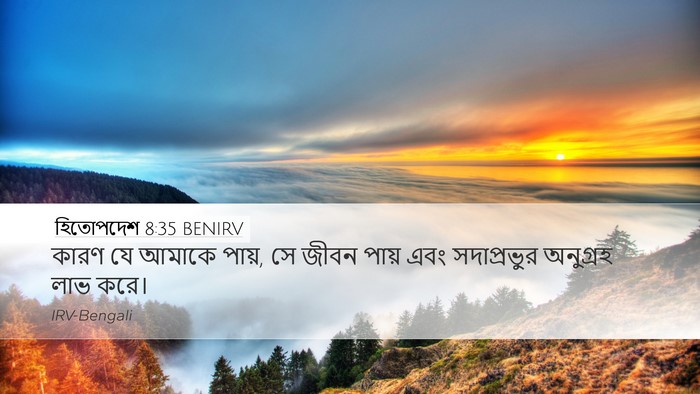 হিতোপদেশ 8:35 BENIRV Bible Verse Image