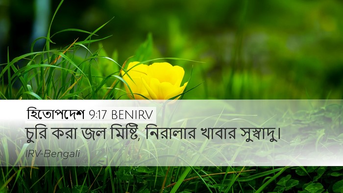 হিতোপদেশ 9:17 BENIRV Bible Verse Image