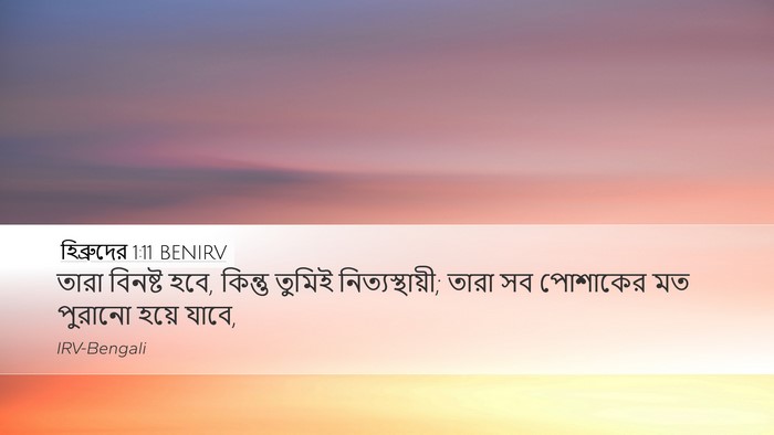হিব্রুদের 1:11 BENIRV Bible Verse Image