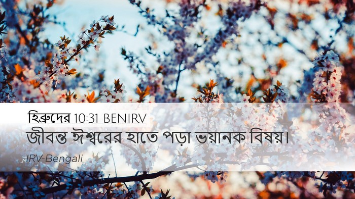 হিব্রুদের 10:31 BENIRV Bible Verse Image