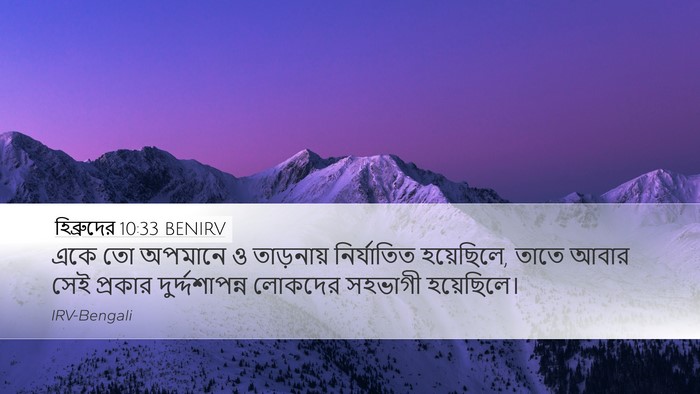 হিব্রুদের 10:33 BENIRV Bible Verse Image
