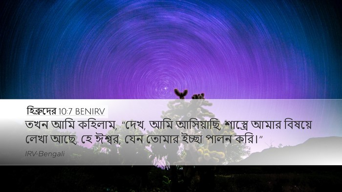 হিব্রুদের 10:7 BENIRV Bible Verse Image