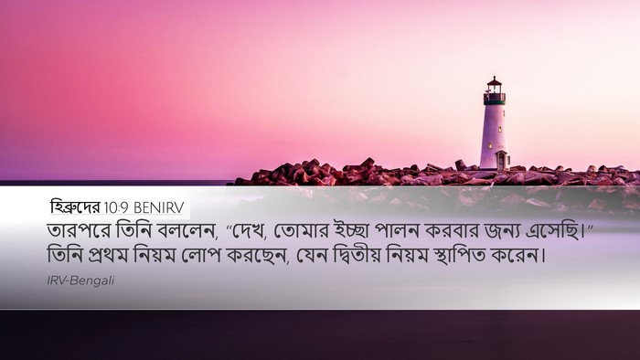 হিব্রুদের 10:9 BENIRV Bible Verse Image