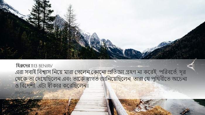 হিব্রুদের 11:13 BENIRV Bible Verse Image