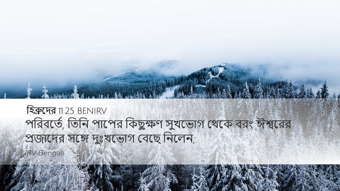 হিব্রুদের 11:25 BENIRV Bible Verse Image