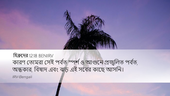 হিব্রুদের 12:18 BENIRV Bible Verse Image
