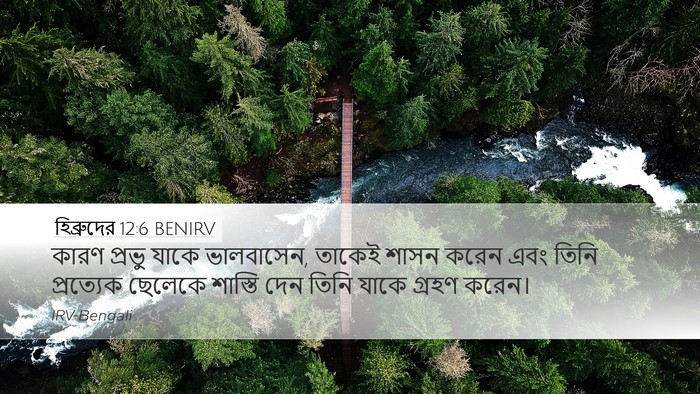 হিব্রুদের 12:6 BENIRV Bible Verse Image