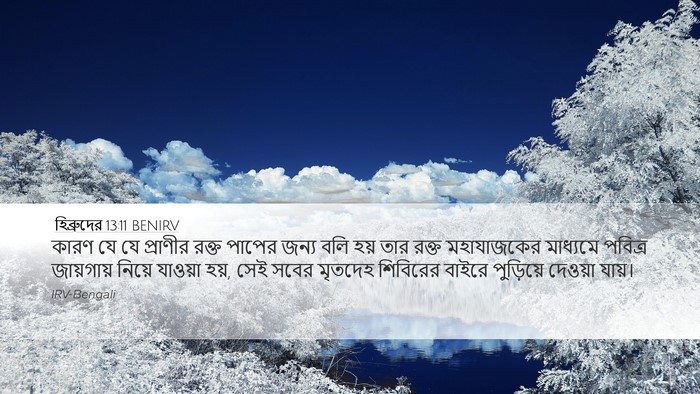 হিব্রুদের 13:11 BENIRV Bible Verse Image