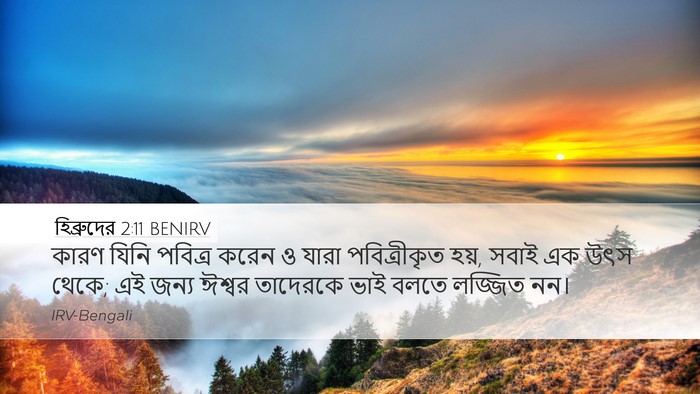 হিব্রুদের 2:11 BENIRV Bible Verse Image