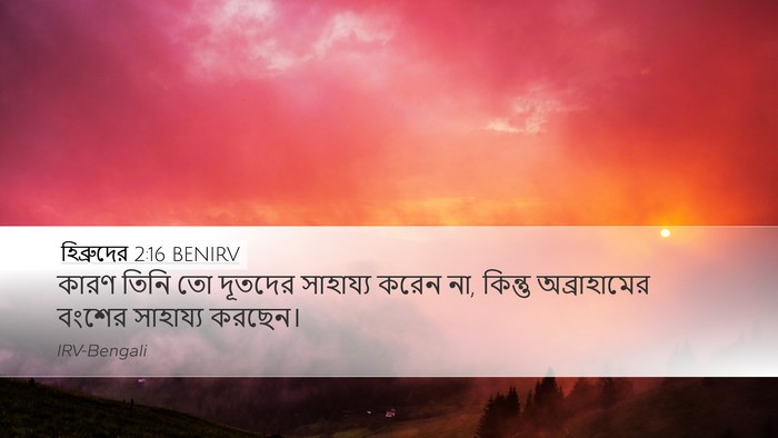 হিব্রুদের 2:16 BENIRV Desktop Wallpaper - কারণ তিনি তো - Desktop Bible Verse Wallpaper