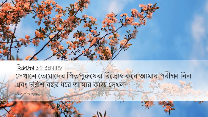 হিব্রুদের 3:9 BENIRV Bible Verse Image