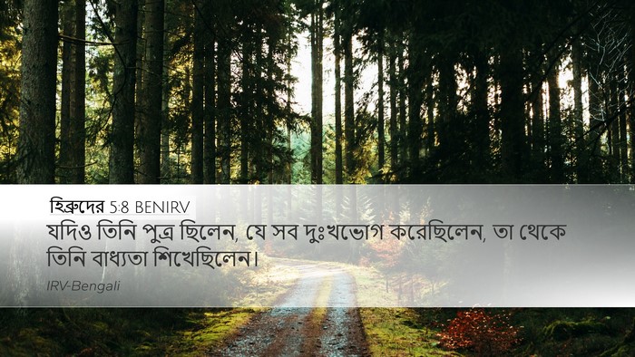 হিব্রুদের 5:8 BENIRV Bible Verse Image