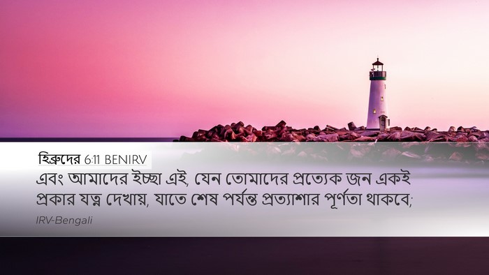 হিব্রুদের 6:11 BENIRV Bible Verse Image