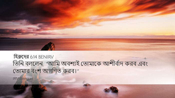 হিব্রুদের 6:14 BENIRV Bible Verse Image