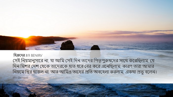 হিব্রুদের 8:9 BENIRV Bible Verse Image