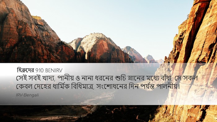হিব্রুদের 9:10 BENIRV Bible Verse Image