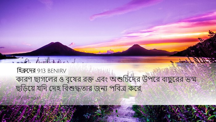 হিব্রুদের 9:13 BENIRV Bible Verse Image