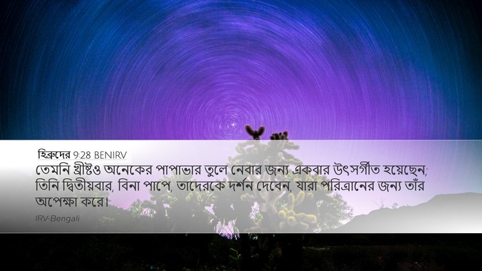 হিব্রুদের 9:28 BENIRV Bible Verse Image