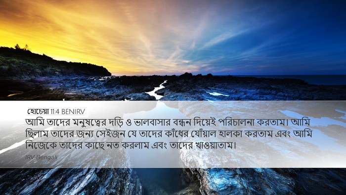 হোচেয়া 11:4 BENIRV Desktop Wallpaper - আমি তাদের - Desktop Bible Verse Wallpaper